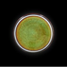 ТАРЕЛКА мелкая 8,5 223мм, синий+зеленый Corone Verde HL482490