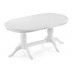 Деревянный стол Эвклаз белый / белый